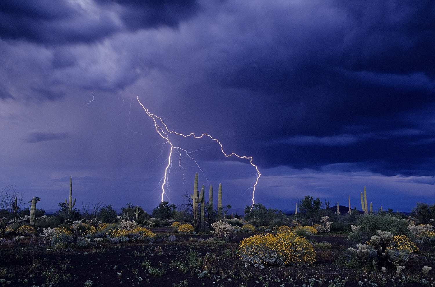 Carrusel imagenes