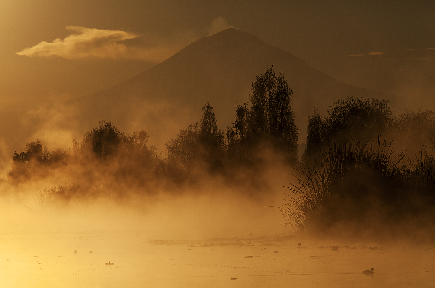 Carrusel imagenes